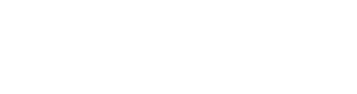 Flavour Network Shows
