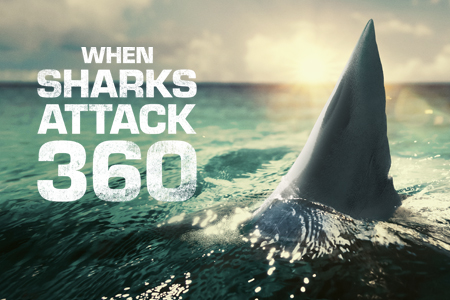 When Sharks Attack 360 | Global TV App